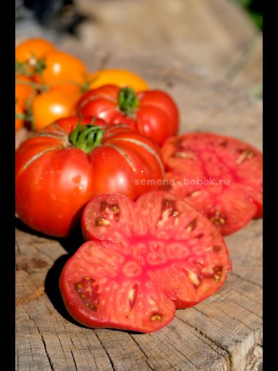 Томат Ярсон 22 (Jarson 22), 10 шт