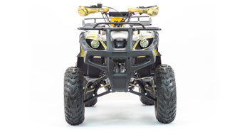 Квадроцикл ATV 250 ADVENTURE низкая цена