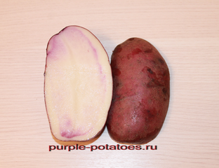Картофель с жёлтой и белой мякотью - Сорт картофеля Чугунка