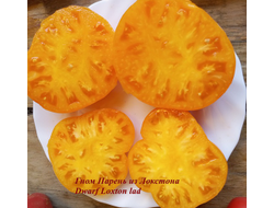 Томат Гном Парень из Локстона (Dwarf Loxton Lad)