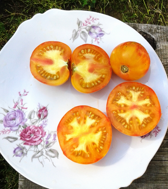 Семена томата Малиновая зебра Козула 138