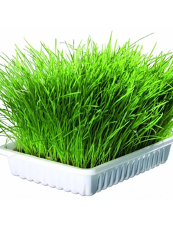 Альпийские луга 7 трав, Травка для питомцев, 100 гр