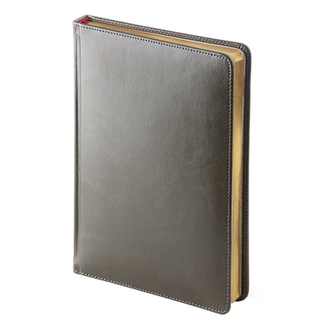 Ежедневник датированный на 2020 год, А5+, "Sindey Nebraska", линия, 168 л., серый, софт обложка, золотой срез