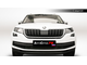 Premium защита радиатора для Skoda Kodiaq (2017-2021)