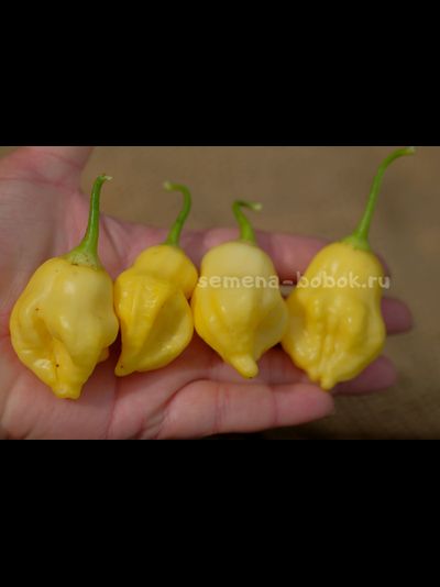 Перец острый Aji Fantasy, 10 шт