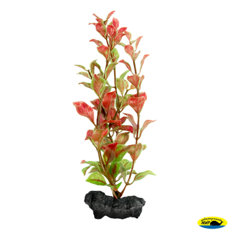 270299 Растение аквариумное Red Ludwigia 1(S) 15cм с утяжелителем