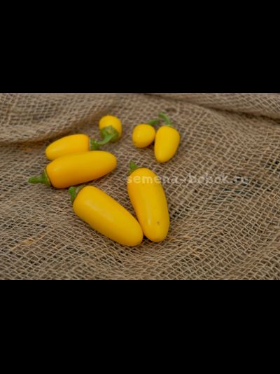 Перец острый Jalapeno NuMex Lemon Spice (Халапеньо Ньюмекс Лимон Спайс), 10 шт
