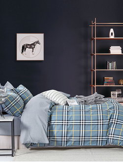 Постельное белье TANGO комплект сатин двуспальный 180x210x1 220x245x1 50x70x2 TS02-X239-50