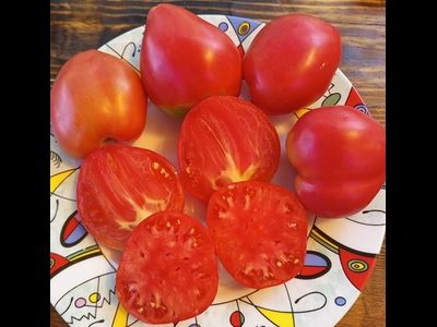 Томат Бычье сердце Ким времен гражданской войны, Kim’s Civil War Oxheart (США)