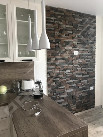 slanec-alpiyskiy-002