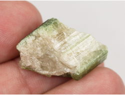 Турмалин арбузный, Бразилия (20*18*12 мм, 6 г) №36175