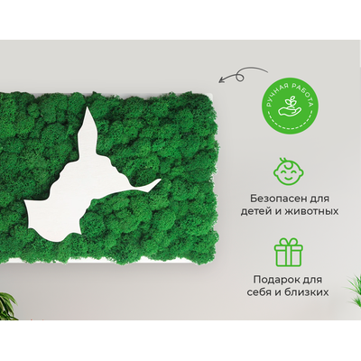 ЖИВАЯ ЭКО-КАРТИНА 1033