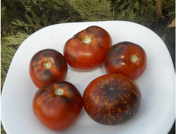 Томат Темная галактика (Dark Galaxy)