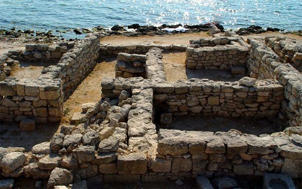 серфингисты