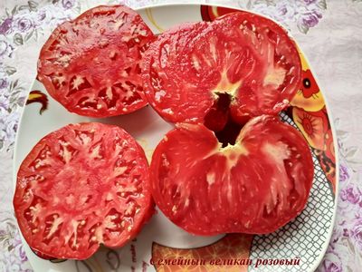 Томат Семейный великан