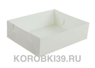 SALE Лоток кондитерский (белый), 250*250*50мм