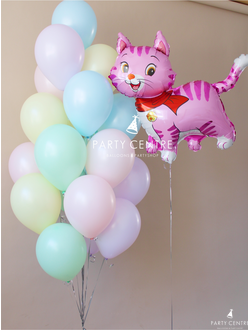 Меловые шары под потолок 15шт и кошка розовая с бантом