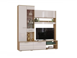 ГОСТИНАЯ ФЛАЙ ЦЕНТРАЛЬНАЯ СЕКЦИЯ, 2004*2176*460