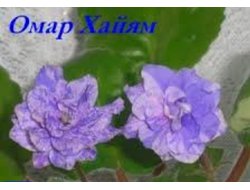 06) Омар Хайам