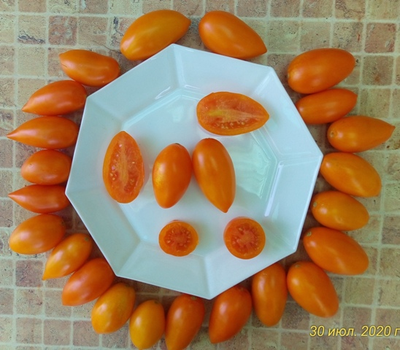 Томат Елисей