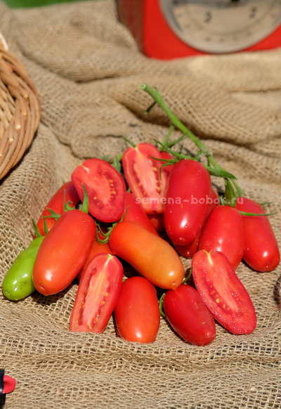 Томат Фляшен Pozano (Фляшен Позано), 10 шт