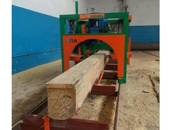 Горизонтальная пилорама Триумф Г2П-600 /Пилорама дисковая ДПА-600