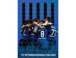Пазл Интер, FC Inter №6