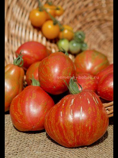 Томат Огненный шар (Palla di fuoco), 10 шт
