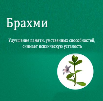 Брахми Хималая (Brahmi Himalaya) 60 таб.  / 250 Мг ( экстракт)