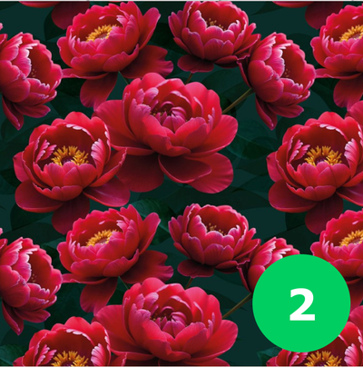 Бумага упаковочная для подарков "Цветы" (микс), лист 70*100см