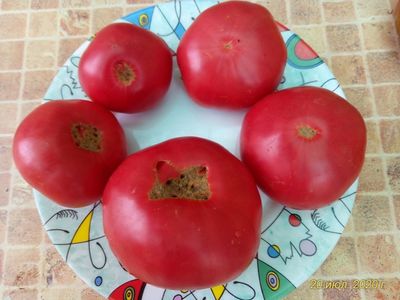 Томат Кубанский домашний розовый