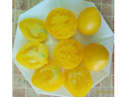 Томат гном Лимонный лед (Dwarf Lemon Ice, дварф Лемон айс) США