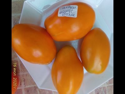 Томат Стаканы оранжевые минусинские