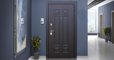 Стальная дверь   Виват с зеркалом. Заказная модель.