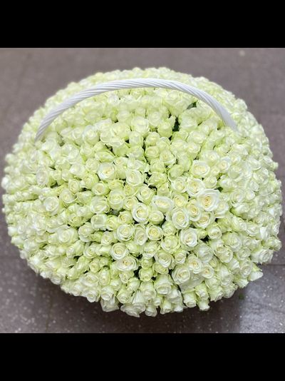 501 белая роза в корзине