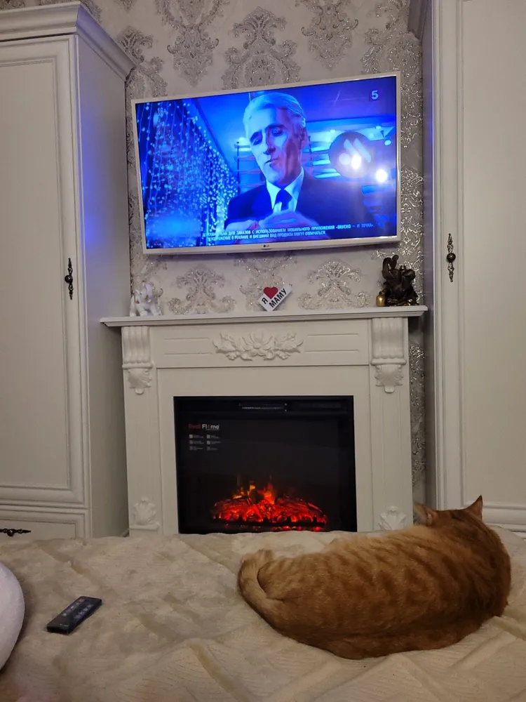 Электрокамин Берта