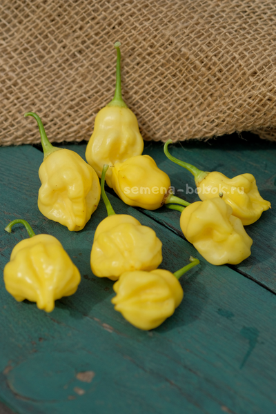 Перец острый Aji Fantasy, 10 шт