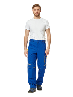 bryuki-alatau-vasilek-zheltyy-bryu333