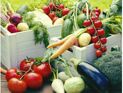 Семена овощей, зелени и ягод