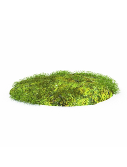 клумбы Альпинарий 24