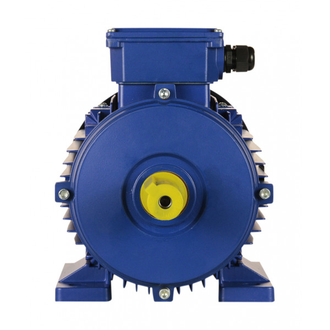 Электродвигатель 5АИ 100L6 (2,2 кВт)