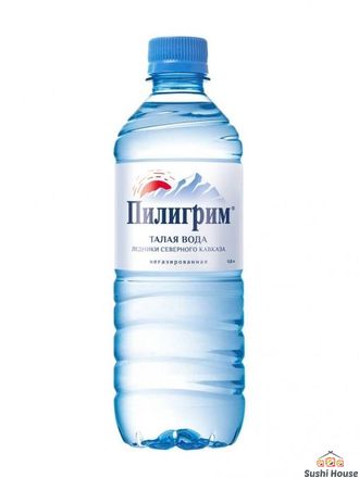 Вода Питьевая негазированная 0,5 л