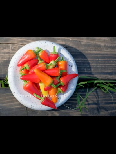 Перец сладкий Sweet Pickle (Свит Пикль), 10 шт