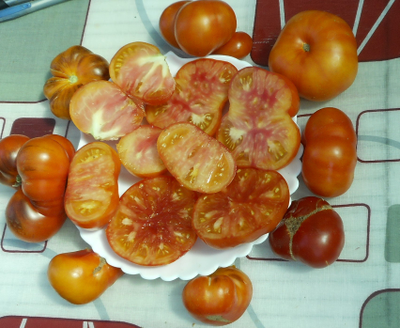 Томат Яркий самоцвет (Люсид джем, Lucid gem, США)