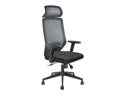 Кресло Riva Chair А755 черный