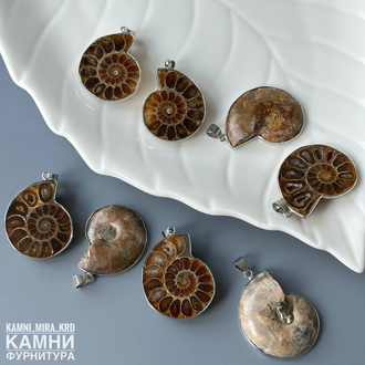 Аммониты парные крупные кулоны 28-34х23-28 мм, цена за пару