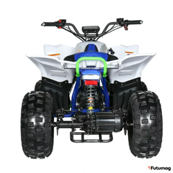 Электроквадроцикл MOTAX E-Pentora 1500W