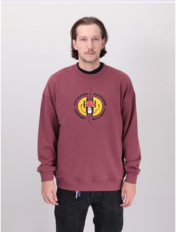 Парень в толстовке Оверсайз Anteater Crewneck Amanita