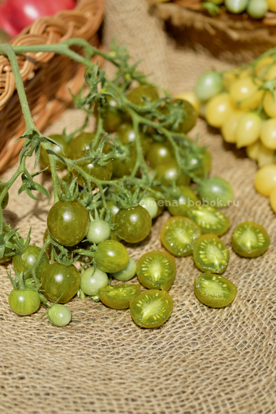 Томат Sister keyes (Систер Киз), 10 шт