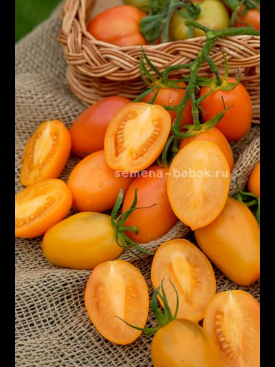 Томат Orange Roma (Оранжевый Римский), 10 шт